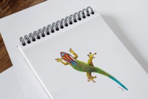 Dessin aux crayons de couleurs d'un gecko