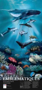Poster sur la faune marine