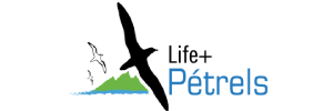 Life+petrel